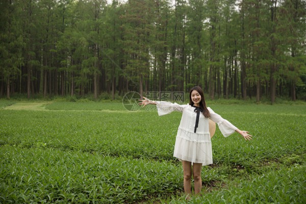 杭州茶香韵律：声波按摩伴品茗，尽享悠闲时光